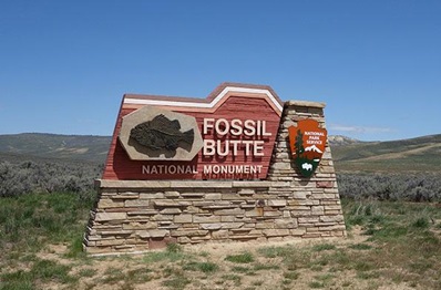 Monument Signs